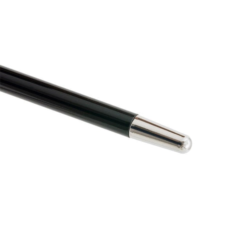 [杖]シルバーライオン