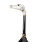 [長傘] グレイハウンド×ダリア